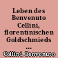 Leben des Benvenuto Cellini, florentinischen Goldschmieds und Bildhauers, von ihm selbst geschrieben