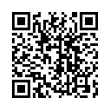 QR Code (код быстрого отклика)