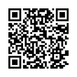 QR Code (код быстрого отклика)