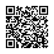 QR Code (код быстрого отклика)