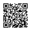 QR Code (код быстрого отклика)