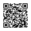 QR Code (код быстрого отклика)