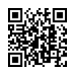 QR Code (код быстрого отклика)