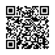 QR Code (код быстрого отклика)