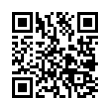 QR Code (код быстрого отклика)