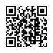 QR Code (код быстрого отклика)