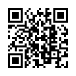 QR Code (код быстрого отклика)