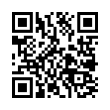 QR Code (код быстрого отклика)