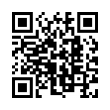 QR Code (код быстрого отклика)