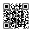 QR Code (код быстрого отклика)