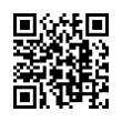 QR Code (код быстрого отклика)