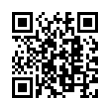 QR Code (код быстрого отклика)