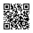 QR Code (код быстрого отклика)