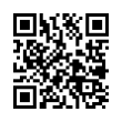 QR Code (код быстрого отклика)