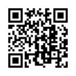 QR Code (код быстрого отклика)