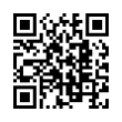 QR Code (код быстрого отклика)