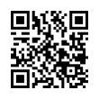 QR Code (код быстрого отклика)