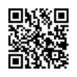 QR Code (код быстрого отклика)