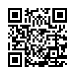 QR Code (код быстрого отклика)