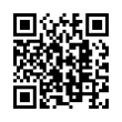 QR Code (код быстрого отклика)