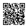 QR Code (код быстрого отклика)