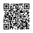 QR Code (код быстрого отклика)