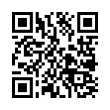 QR Code (код быстрого отклика)