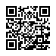 QR Code (код быстрого отклика)