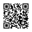 QR Code (код быстрого отклика)